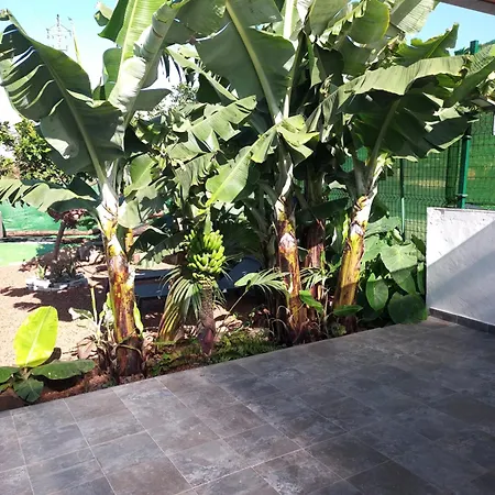 Villa Casa El Lagar La Guancha Exterior foto